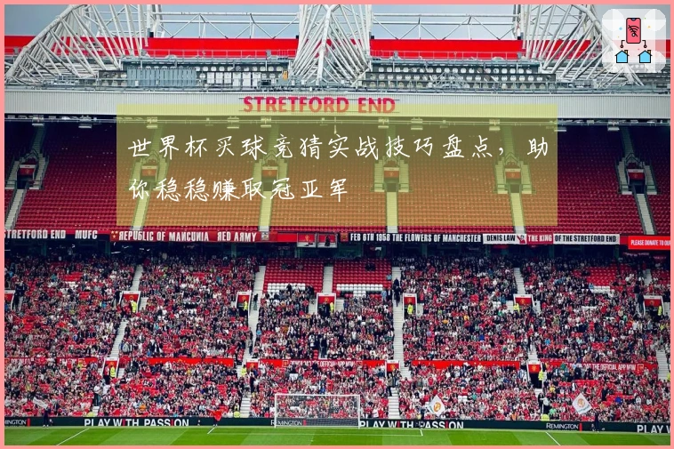 世界杯买球竞猜实战技巧盘点，助你稳稳赚取冠亚军