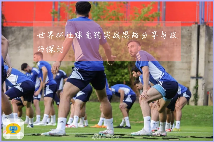 世界杯让球竞猜实战思路分享与技巧探讨