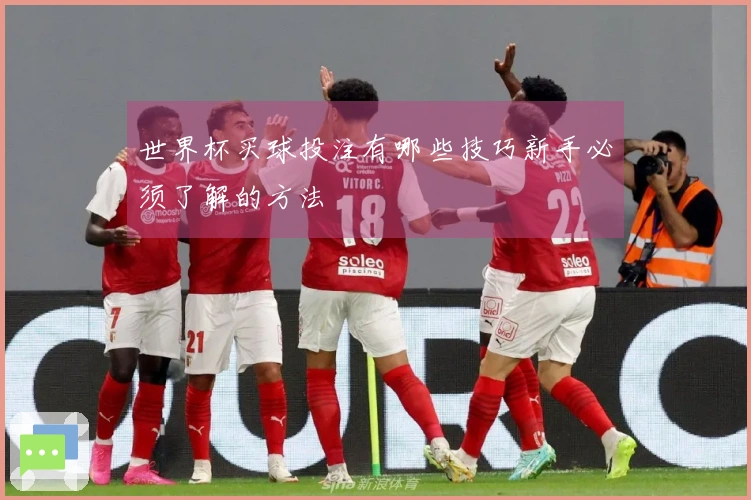 世界杯买球投注有哪些技巧新手必须了解的方法