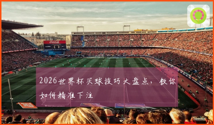 2026世界杯买球技巧大盘点，教你如何精准下注