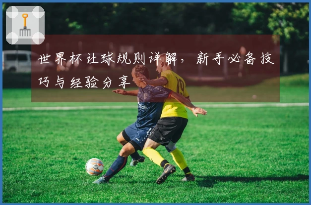 世界杯让球规则详解，新手必备技巧与经验分享